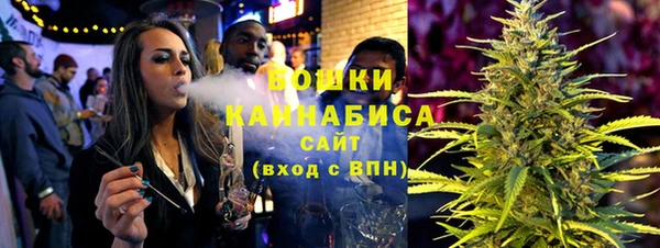 молекула духа Пестово