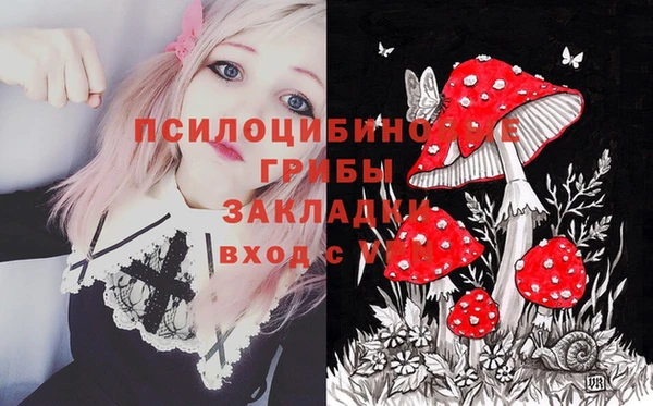 прущий лед Аркадак