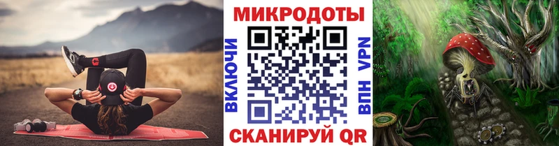 Галлюциногенные грибы Psilocybe  даркнет формула  Белово 