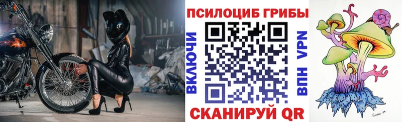 Галлюциногенные грибы Psilocybine cubensis Белово